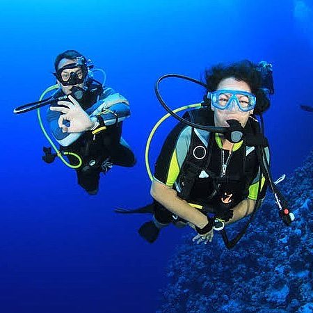 Diving tour by Tiger Fish Divers
