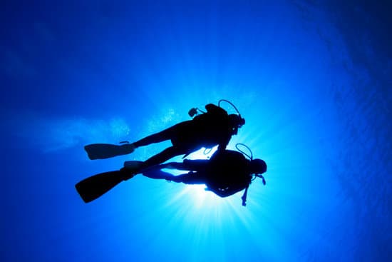 Hoi An Tiger Fish Divers - Scuba diving