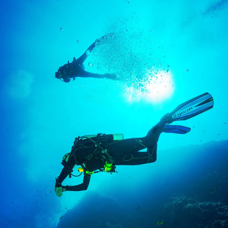 Snokeling and Diving by Tiger Fish Divers